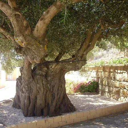 Asteras 3* Argostoli (Kefalonia)