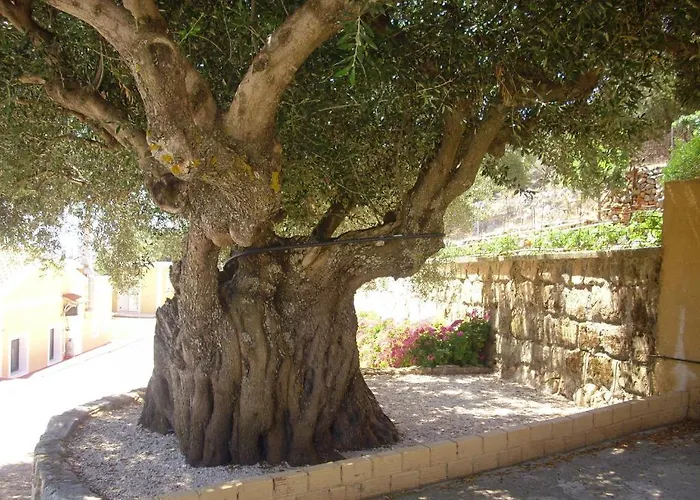 Asteras 3* Argosztóli